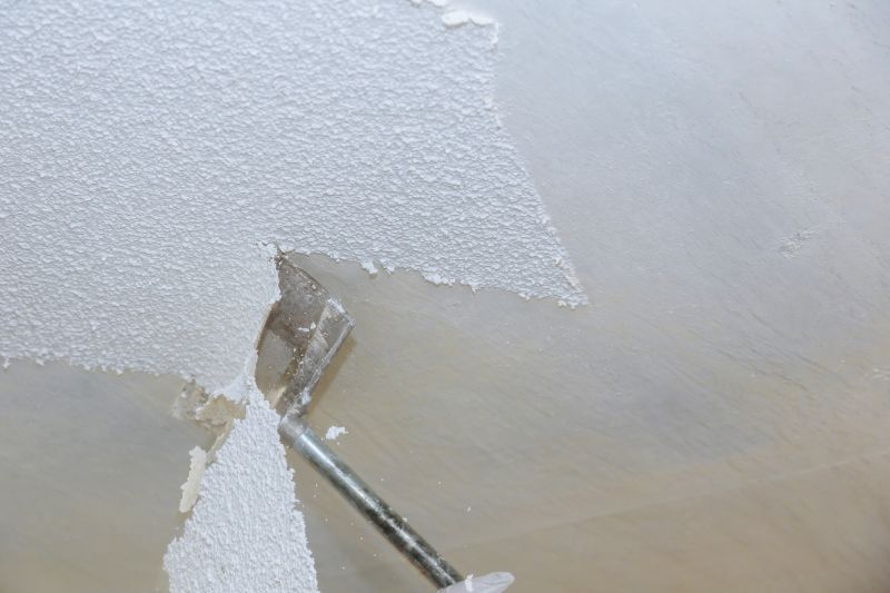 Ceiling Texture Removal detail